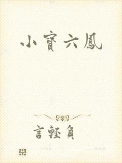 小宝六凤