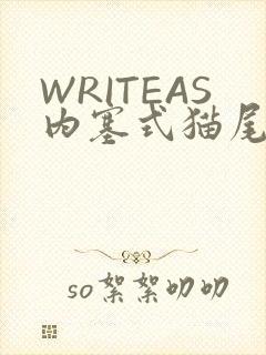 WRITEAS内塞式猫尾
