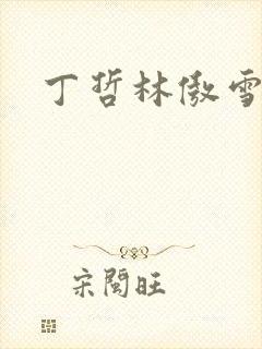 丁哲林傲雪小说