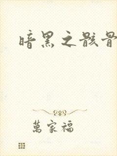 暗黑之骸骨君王