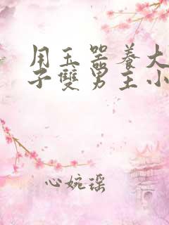 用玉器养大的皇子双男主小说