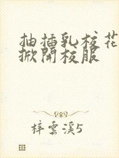 抽插乳校花老师掀开校服