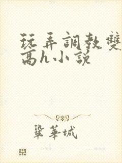 玩弄调教双胞胎高h小说