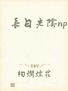 长日光阴np