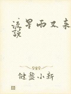 流星雨又来临小说