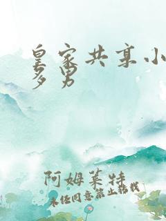 皇家共享小公主多男