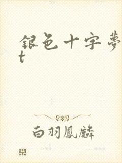 银色十字梦txt