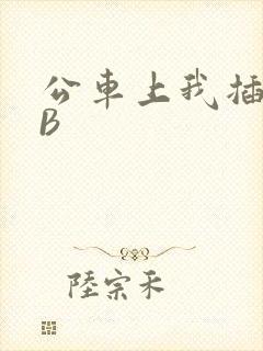 公车上我插上骚B