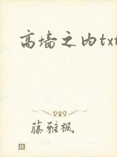 高墙之内txt