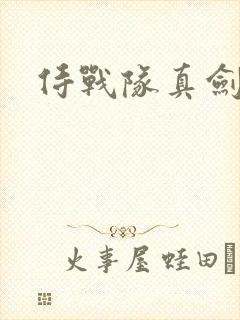 侍战队真剑者2