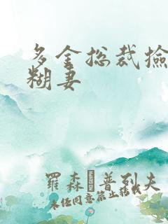 多金总裁捡到迷糊妻