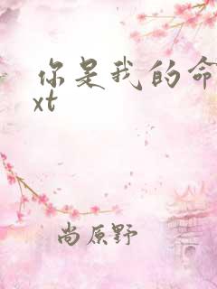 你是我的命运txt