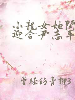 小龙女她开始慢迎合尹志平