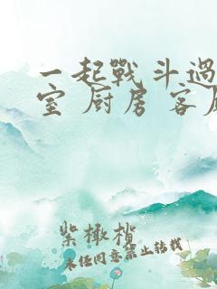 一起战斗过 卧室 厨房 客厅