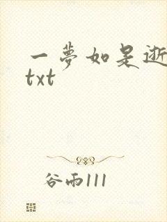 一梦如是逝水长txt