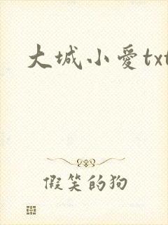 大城小爱txt