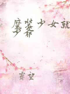 魔装少女就是本少爷