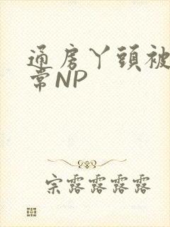 通房丫头被肉日常NP