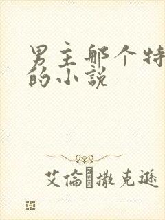 男主那个特别大的小说
