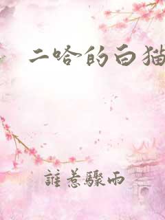 二哈的白猫师尊