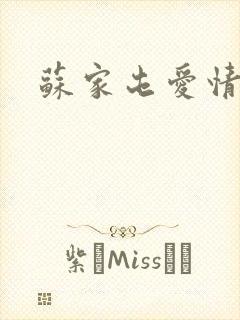 苏家屯爱情故事