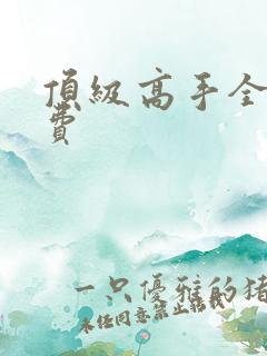 顶级高手全文免费