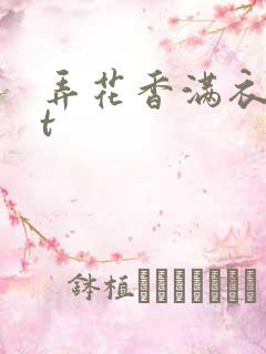 弄花香满衣txt