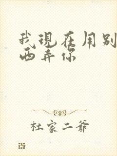 我现在用别的东西弄你