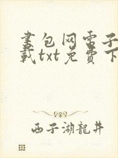 书包网电子书下载txt免费下载