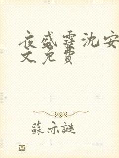夜盛霆沈安然全文免费
