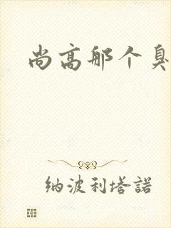 尚高那个臭小子