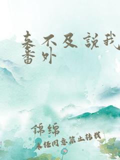 来不及说我爱你番外