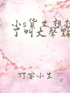 小s货又想挨c了叫大声点