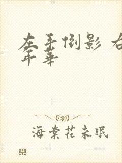 左手倒影 右手年华