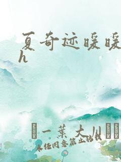 夏奇迹暖暖快穿h