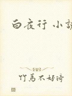 白夜行 小说
