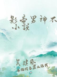 影帝男神不节制 小说