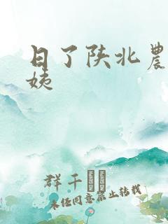 日了陕北农村婆姨