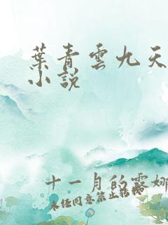 叶青云九天玄宗小说