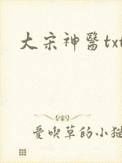 大宋神医txt