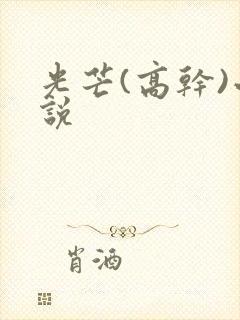 光芒(高干)小说