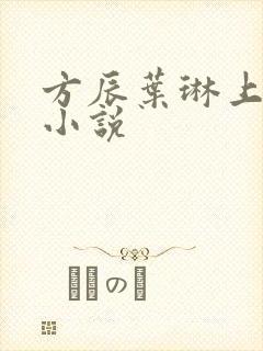 方辰叶琳上官步小说