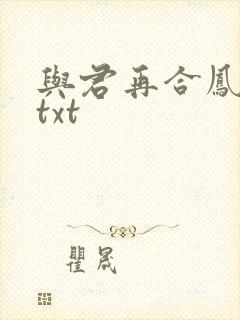与君再合凤求凰txt