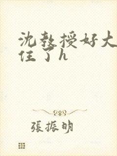 沈教授好大含不住了h