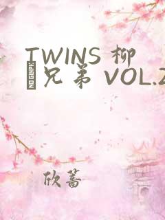 TWINS 柳澤兄弟 VOL.2