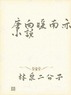 唐向暖南亦琛的小说