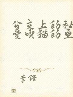 公交上的秘密 爱吃猫的鱼