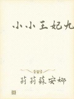 小小王妃九岁半