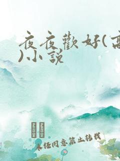 夜夜欢好(高h)小说