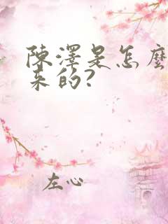 陈泽是怎么火起来的?